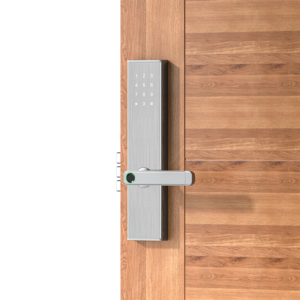 iCherrygroup S-303S fingerprint password smart lock